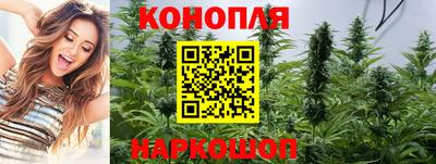 эйфоретик Берёзовский